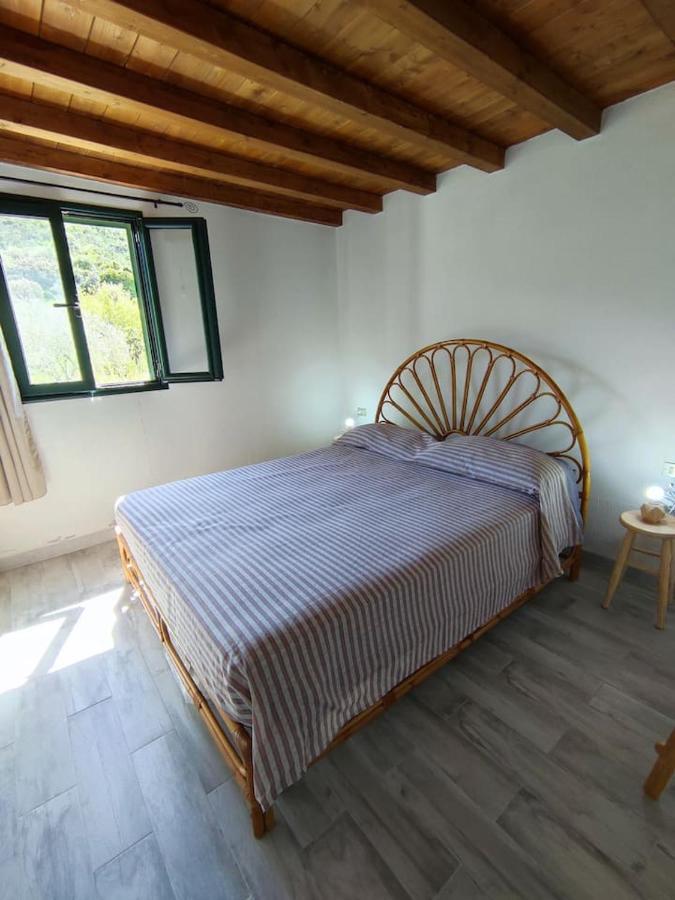 Villa Ulivella Schifoni 외부 사진