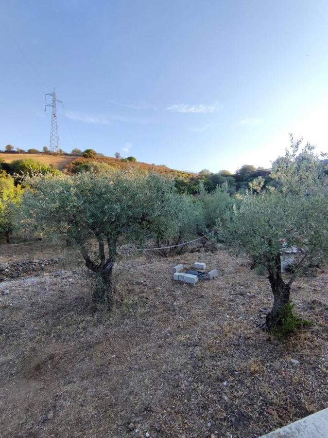 Villa Ulivella Schifoni 외부 사진