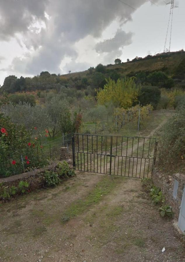 Villa Ulivella Schifoni 외부 사진