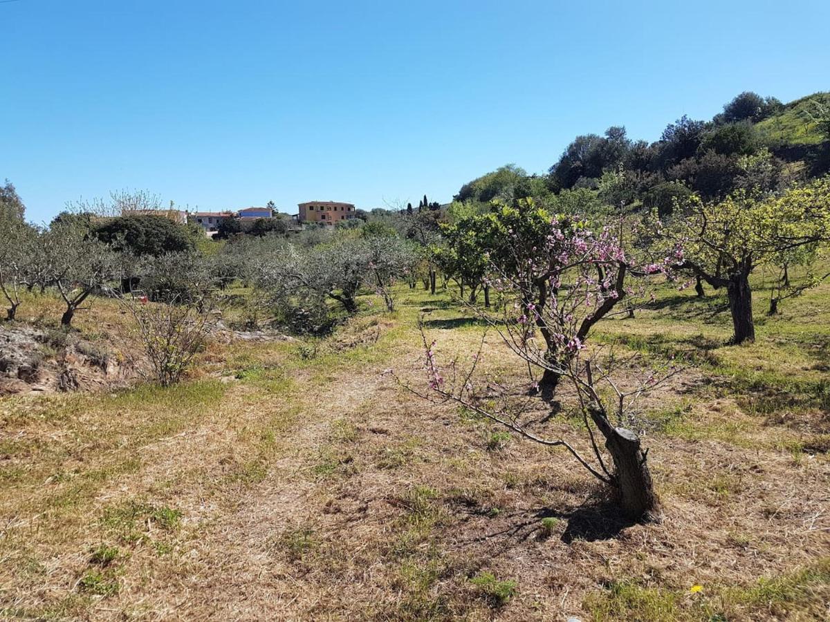 Villa Ulivella Schifoni 외부 사진