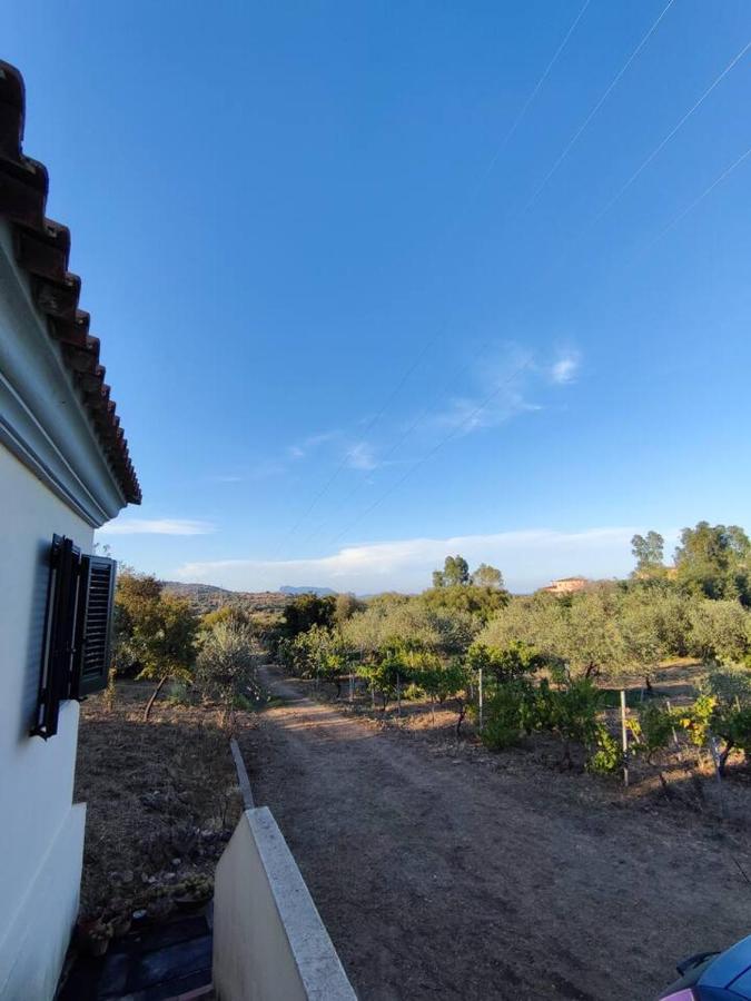 Villa Ulivella Schifoni 외부 사진